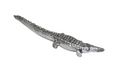 Chebet Mutai Crocodile Accessory